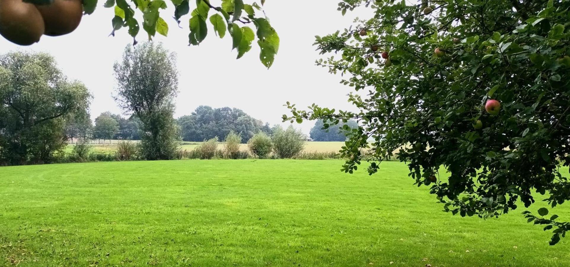 Holwierde B&B Oldenbosch المظهر الخارجي الصورة