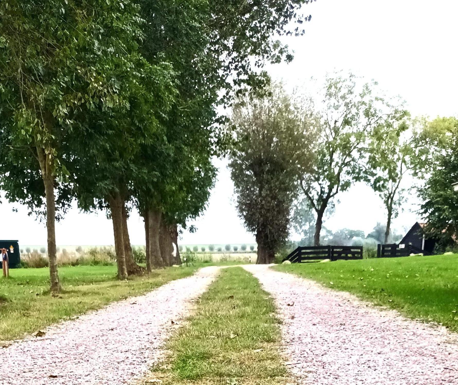 Holwierde B&B Oldenbosch المظهر الخارجي الصورة